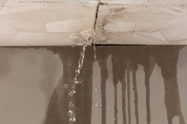 Professional Structural Drying technician working in Hilbert, WI